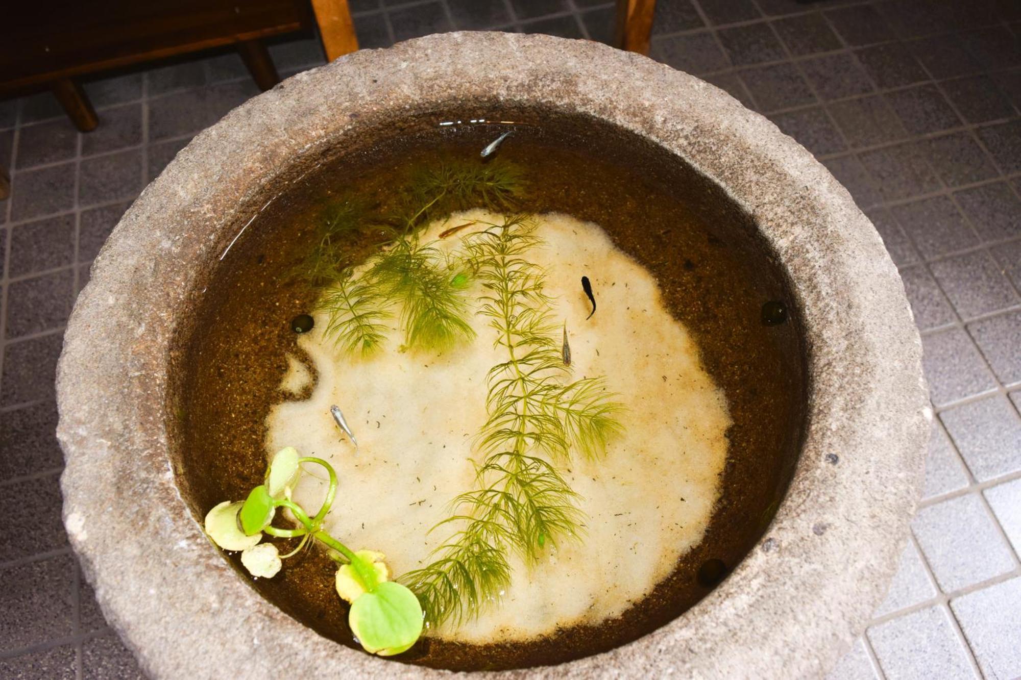 Atagoya Villa Takayama  Ngoại thất bức ảnh